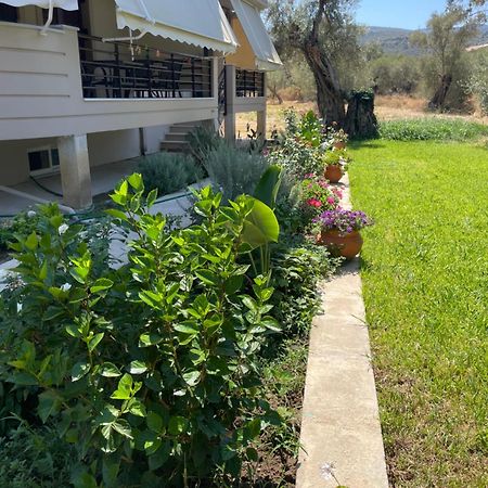 Asanis 2 Apartment Lefkada City Ngoại thất bức ảnh